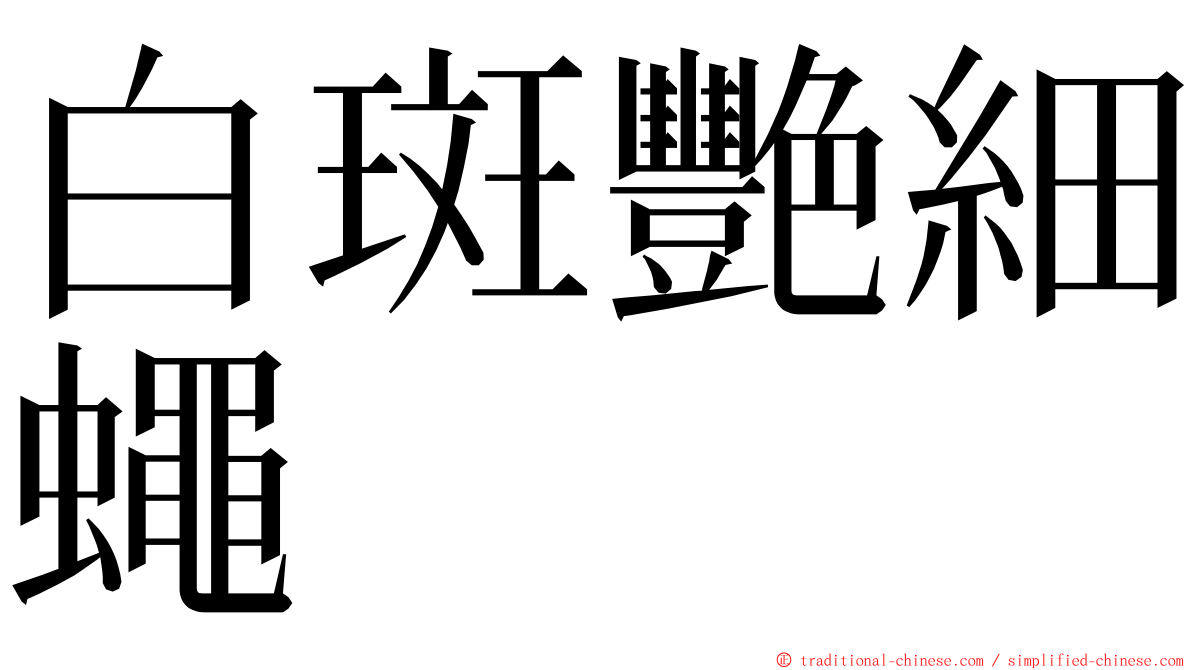 白斑艷細蠅 ming font