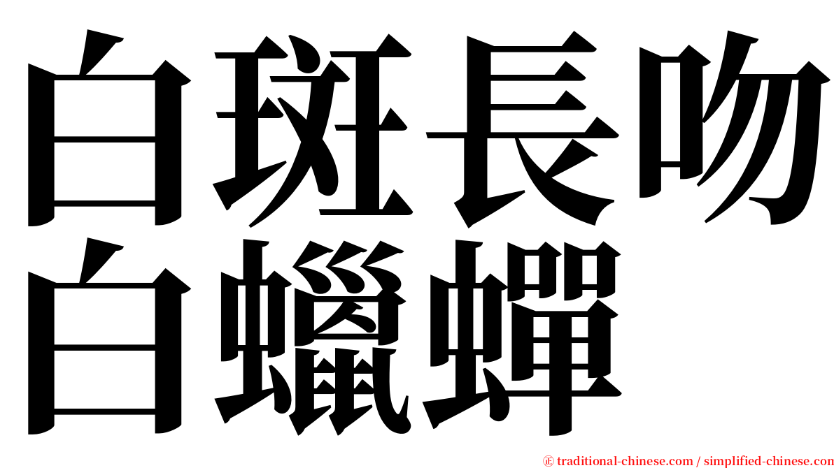 白斑長吻白蠟蟬 serif font