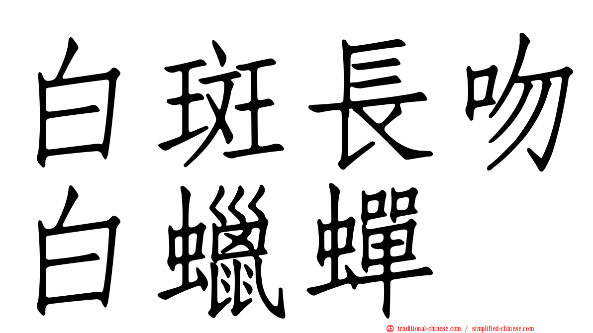 白斑長吻白蠟蟬