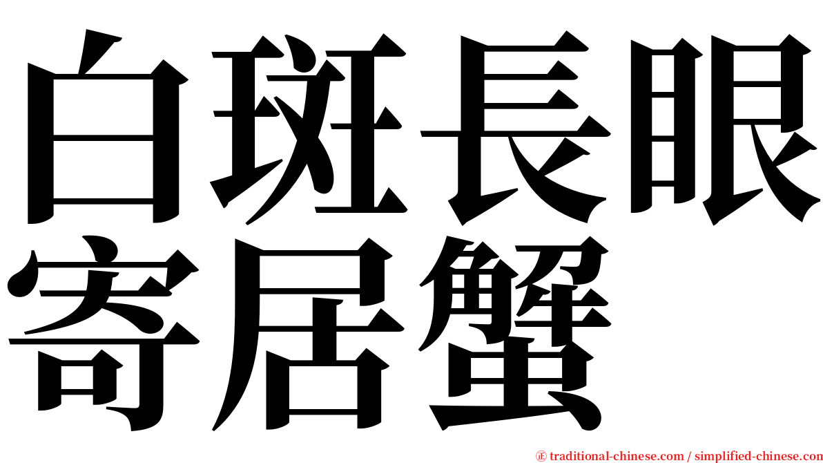 白斑長眼寄居蟹 serif font