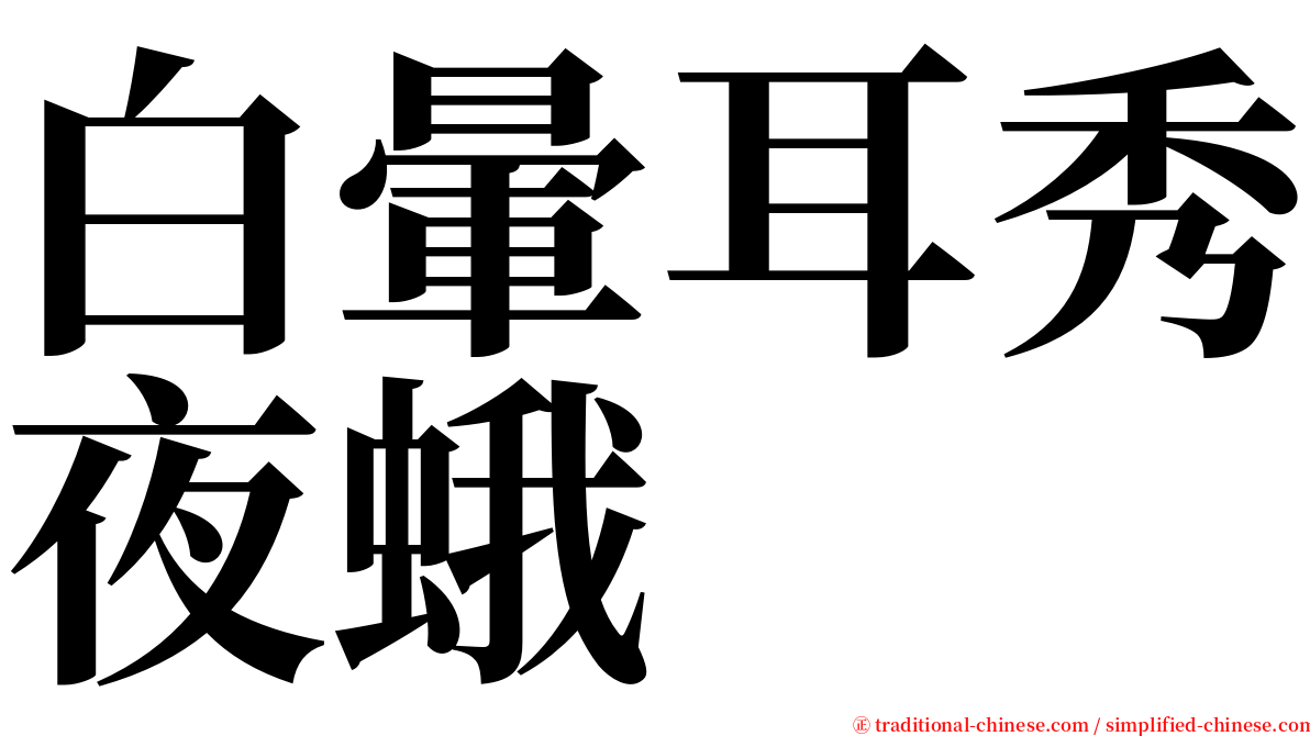 白暈耳秀夜蛾 serif font