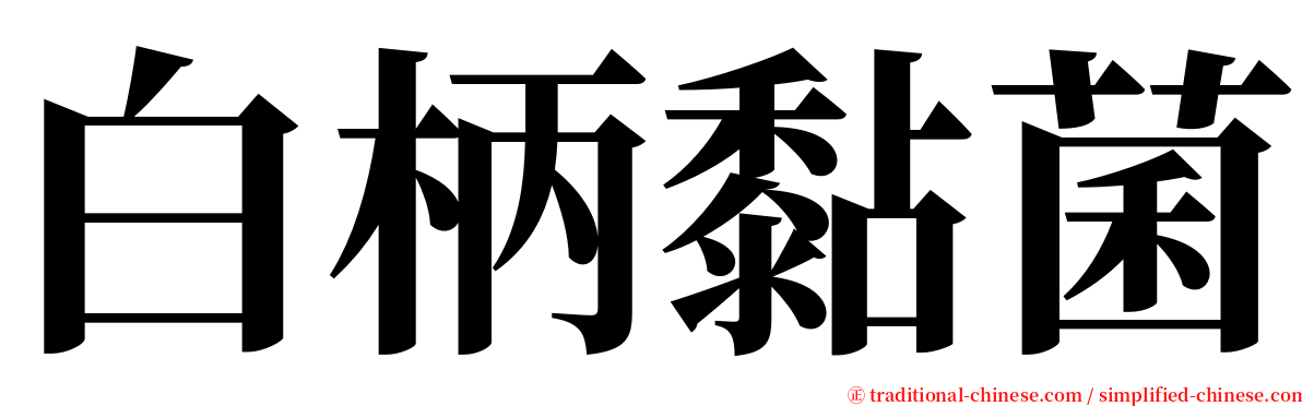 白柄黏菌 serif font