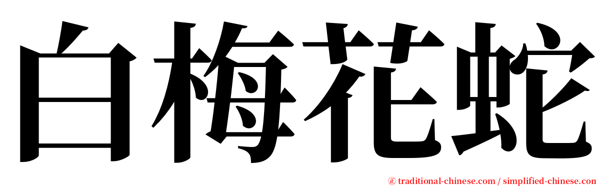 白梅花蛇 serif font