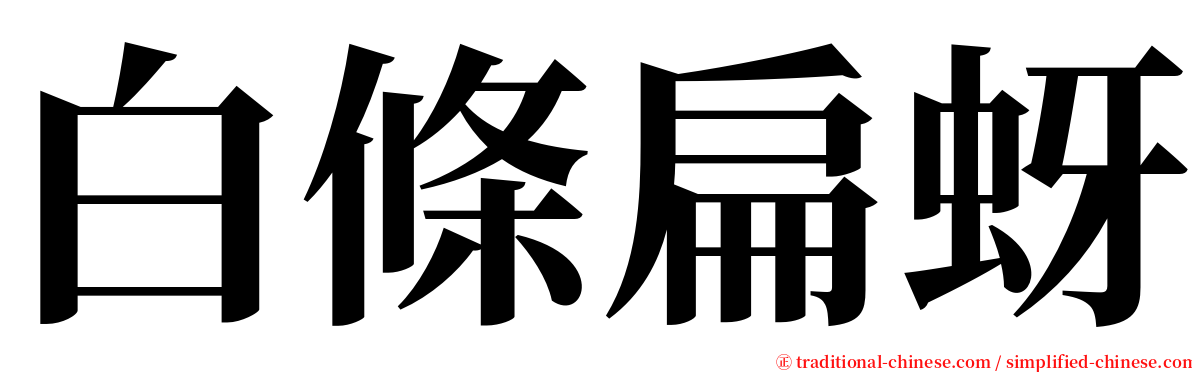 白條扁蚜 serif font