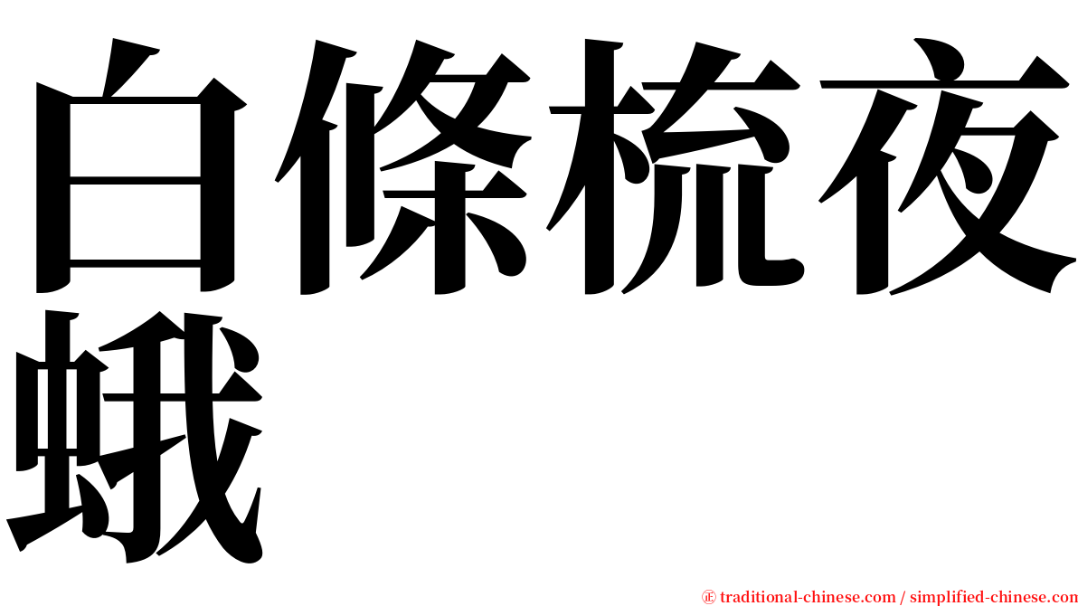 白條梳夜蛾 serif font