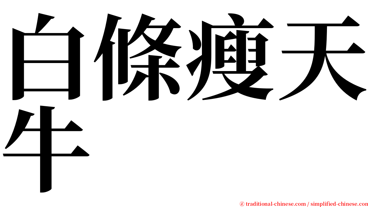 白條瘦天牛 serif font