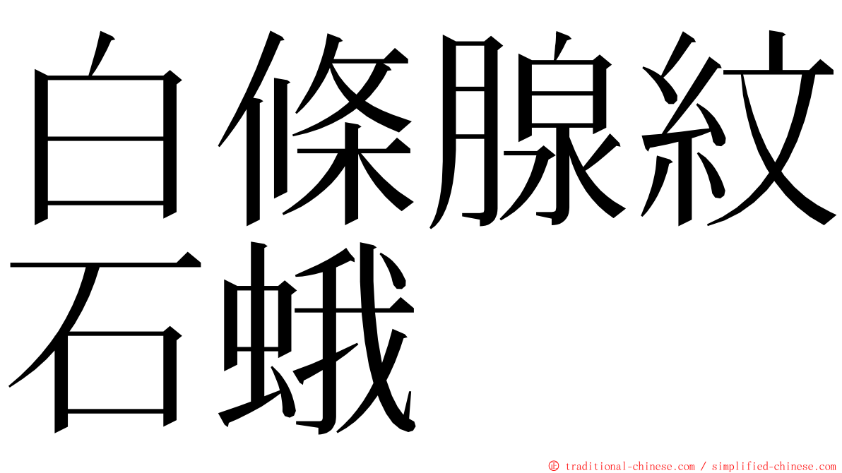 白條腺紋石蛾 ming font