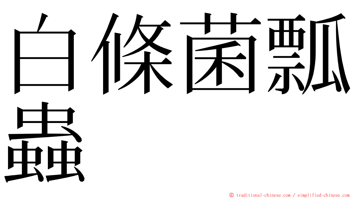 白條菌瓢蟲 ming font