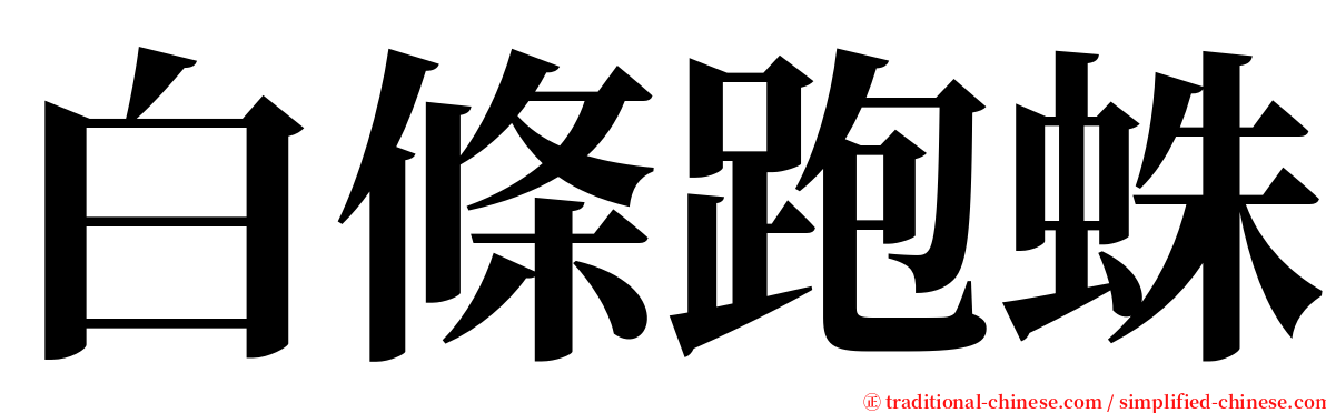 白條跑蛛 serif font