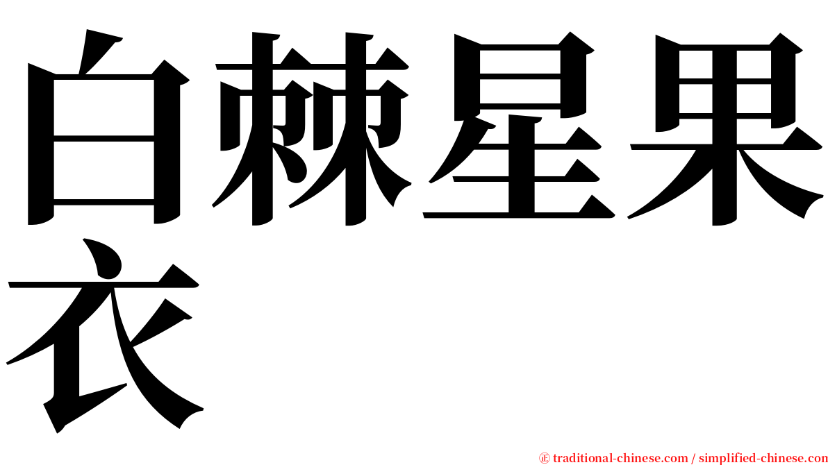 白棘星果衣 serif font