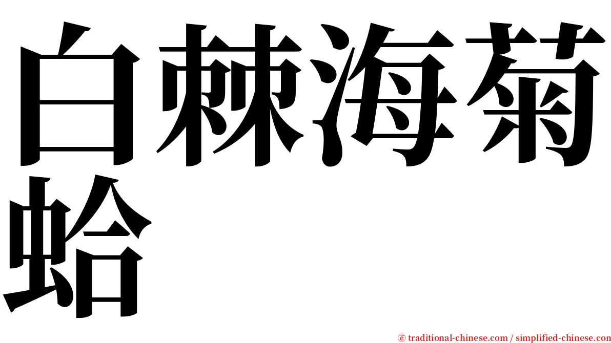 白棘海菊蛤 serif font