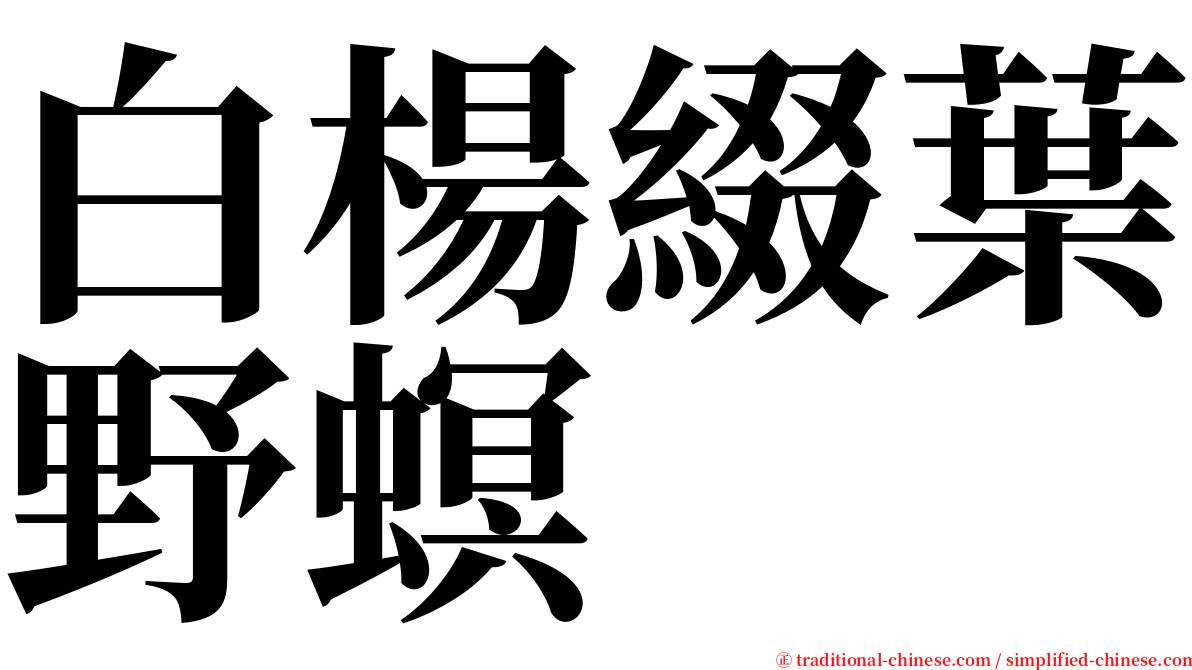 白楊綴葉野螟 serif font