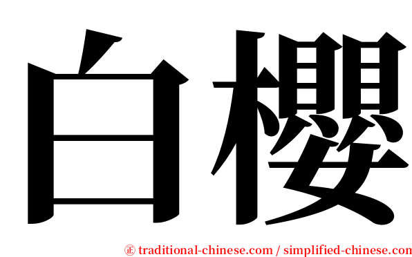 白櫻 serif font