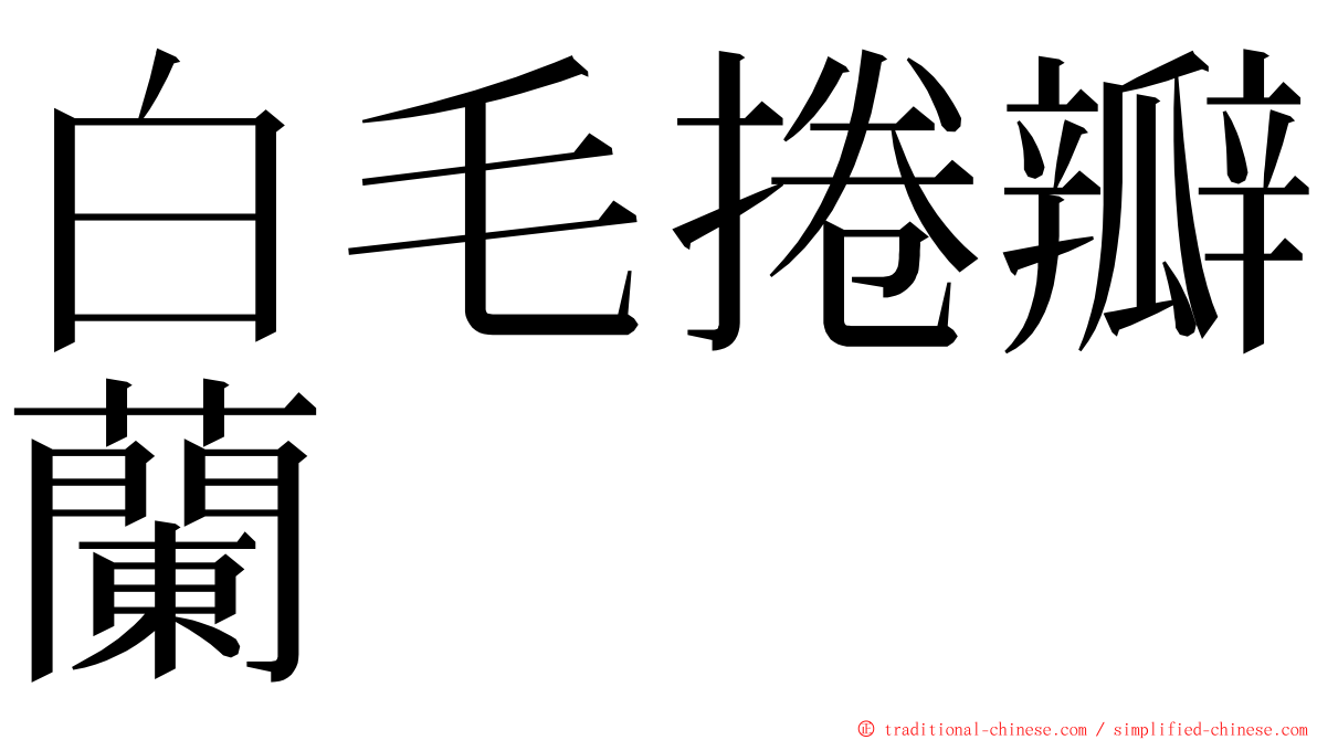 白毛捲瓣蘭 ming font