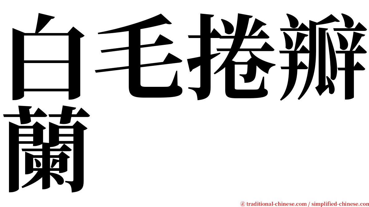 白毛捲瓣蘭 serif font