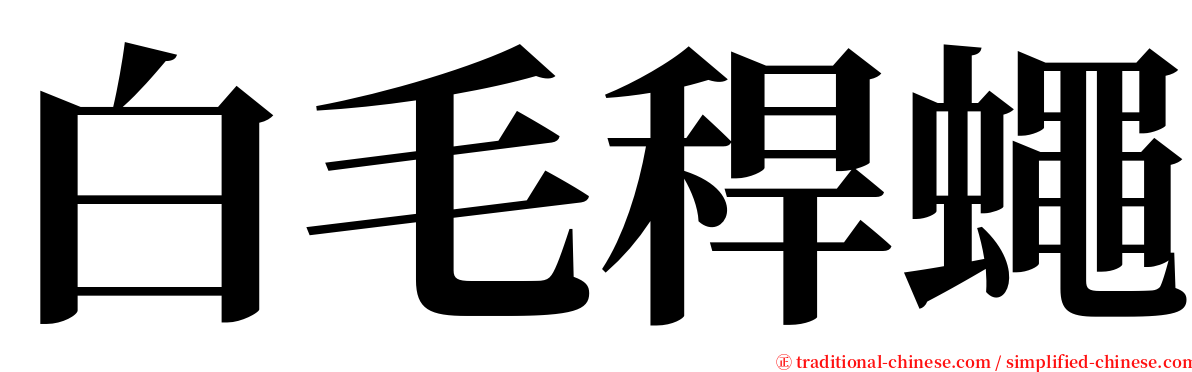 白毛稈蠅 serif font