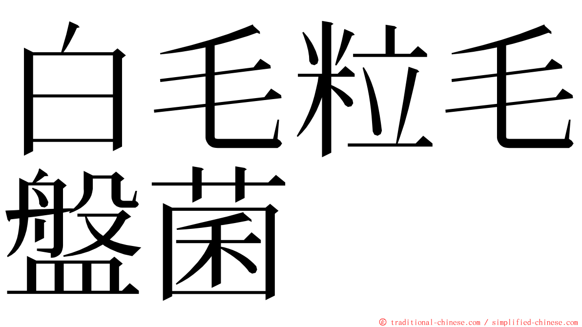 白毛粒毛盤菌 ming font