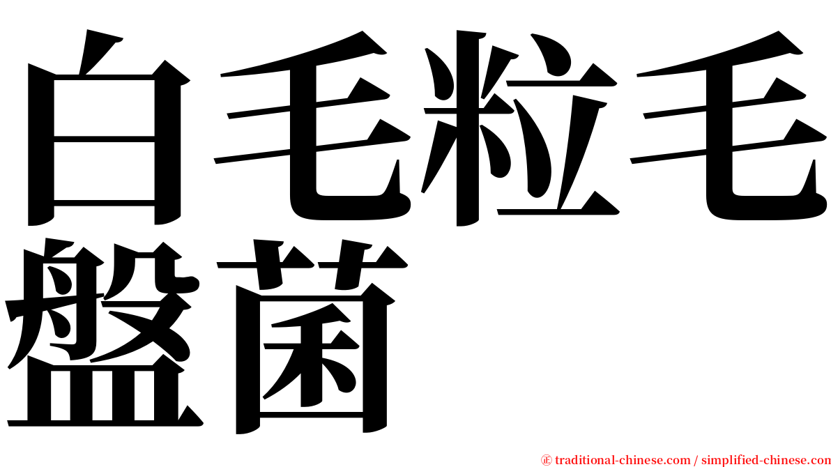 白毛粒毛盤菌 serif font