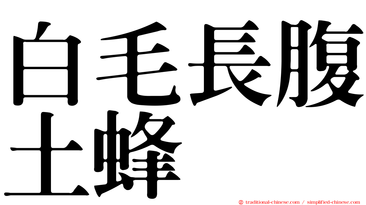 白毛長腹土蜂