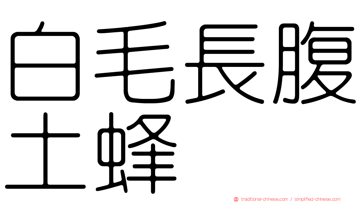 白毛長腹土蜂