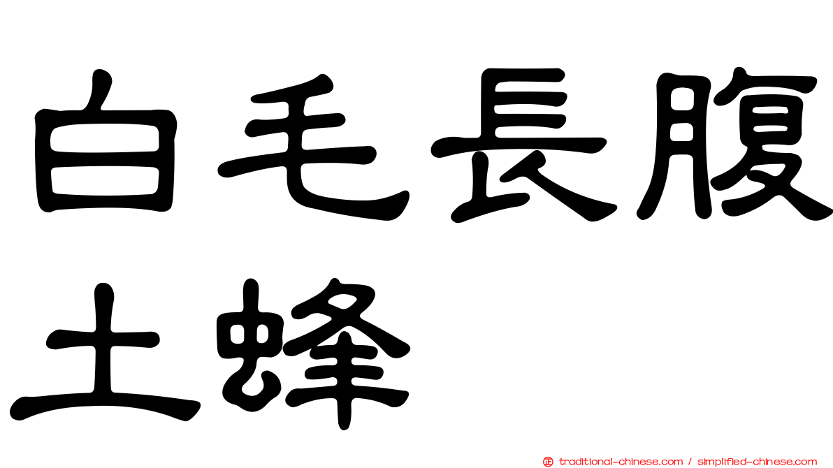 白毛長腹土蜂