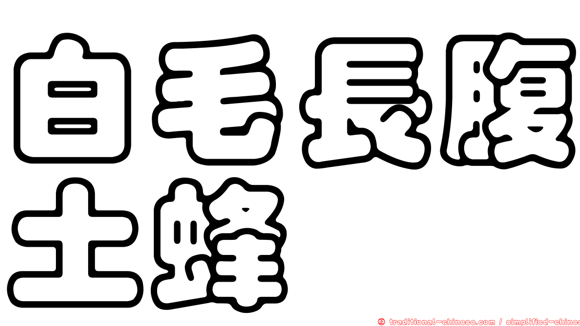 白毛長腹土蜂