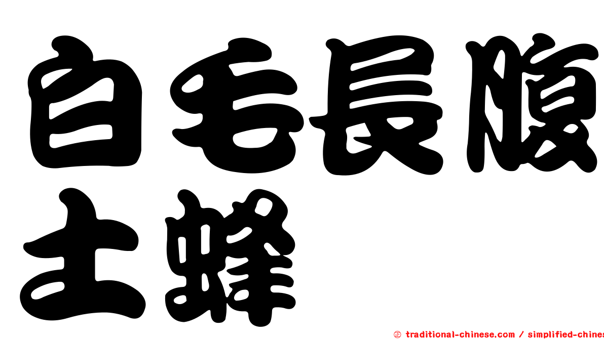 白毛長腹土蜂
