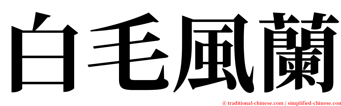 白毛風蘭 serif font