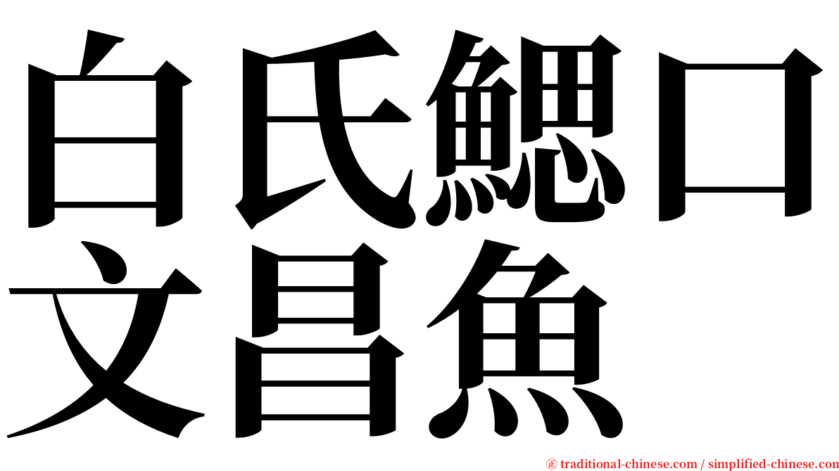 白氏鰓口文昌魚 serif font