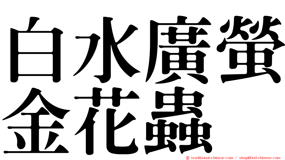 白水廣螢金花蟲
