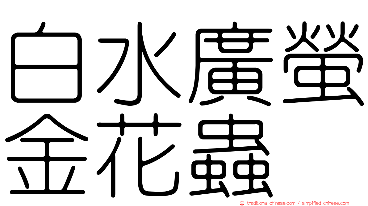 白水廣螢金花蟲
