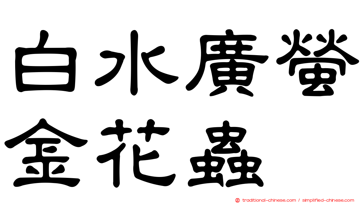 白水廣螢金花蟲