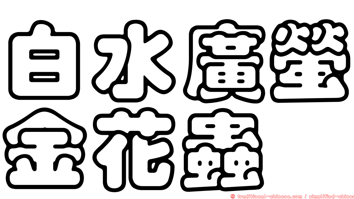 白水廣螢金花蟲