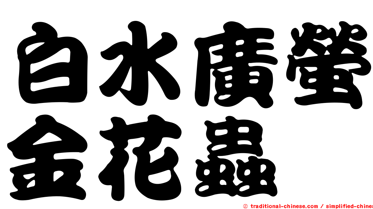 白水廣螢金花蟲