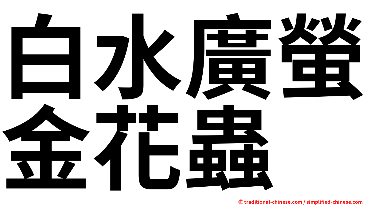 白水廣螢金花蟲