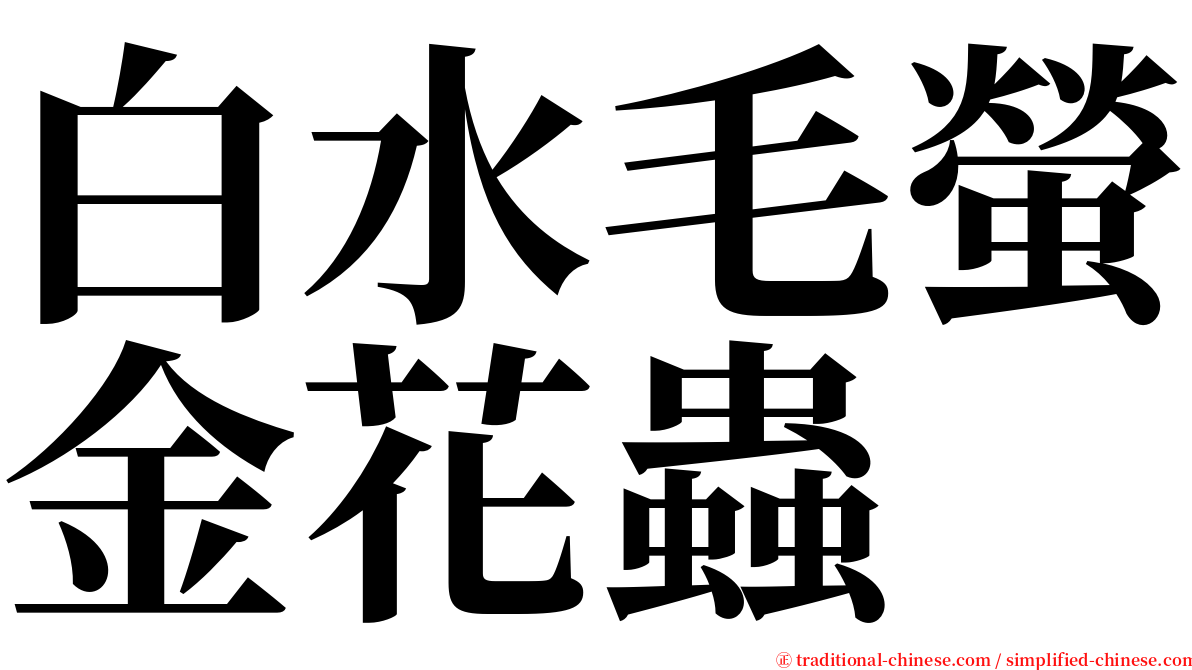 白水毛螢金花蟲 serif font