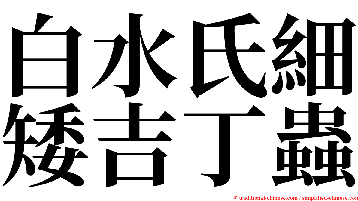 白水氏細矮吉丁蟲 serif font