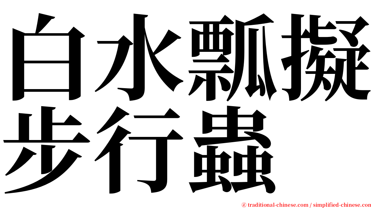 白水瓢擬步行蟲 serif font