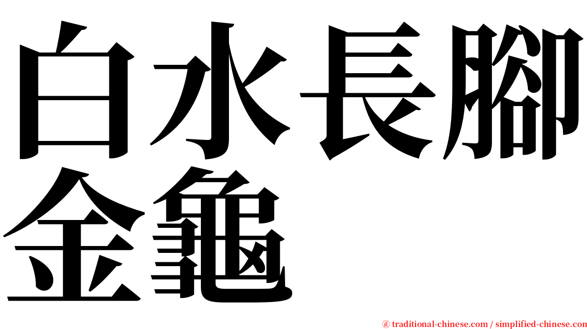 白水長腳金龜 serif font