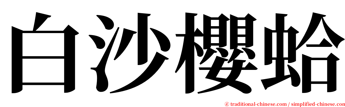 白沙櫻蛤 serif font