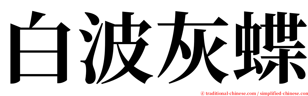 白波灰蝶 serif font