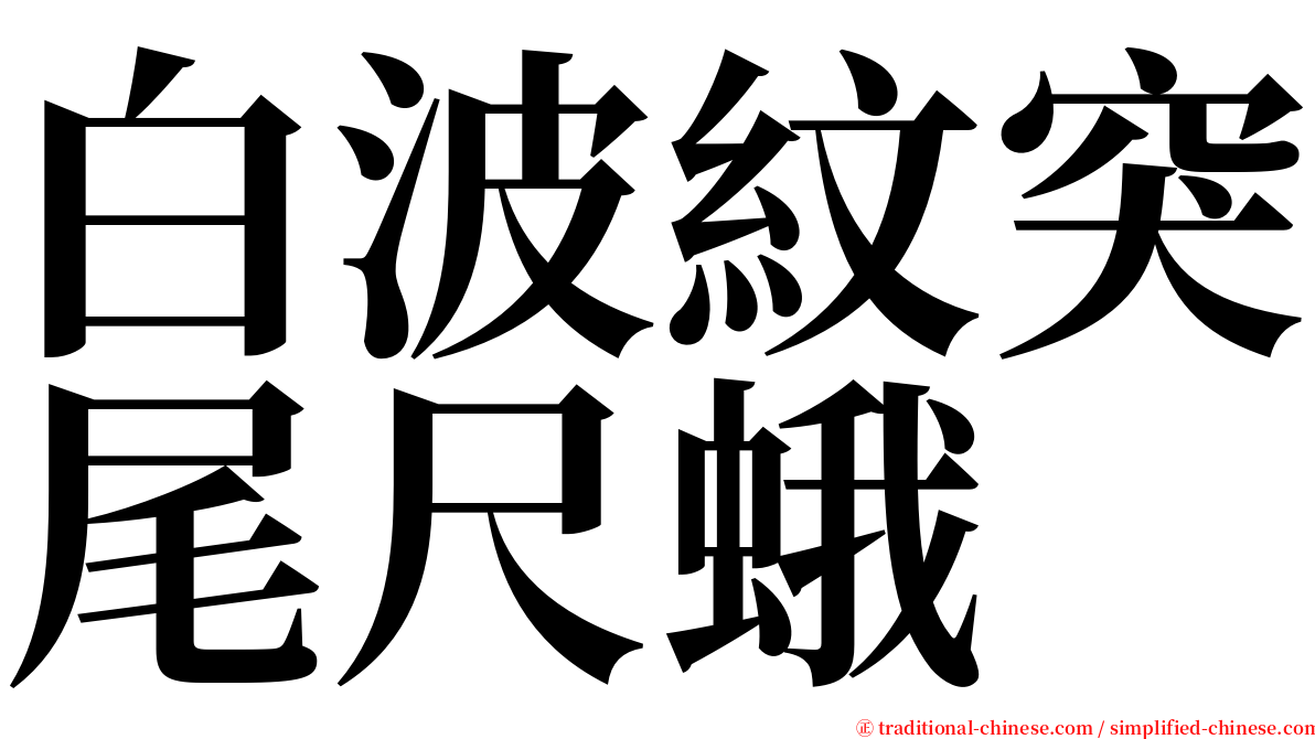 白波紋突尾尺蛾 serif font