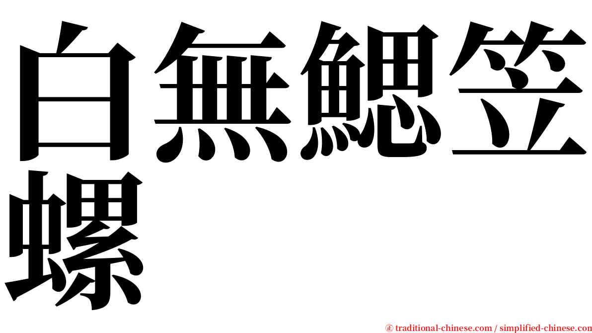 白無鰓笠螺 serif font