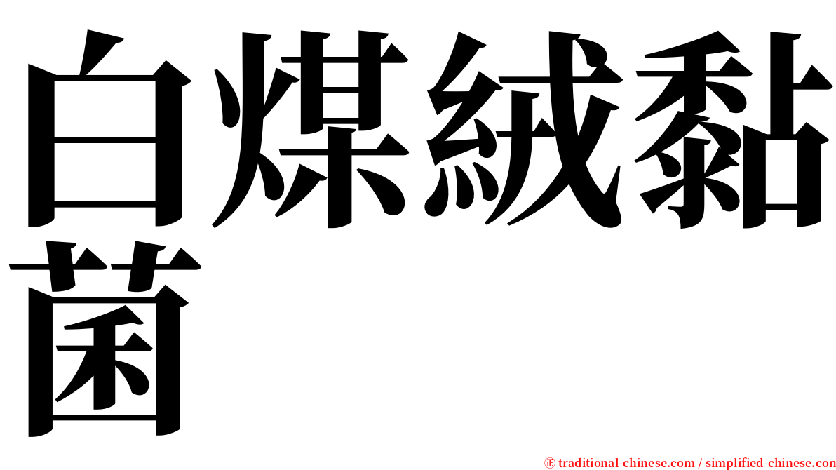 白煤絨黏菌 serif font