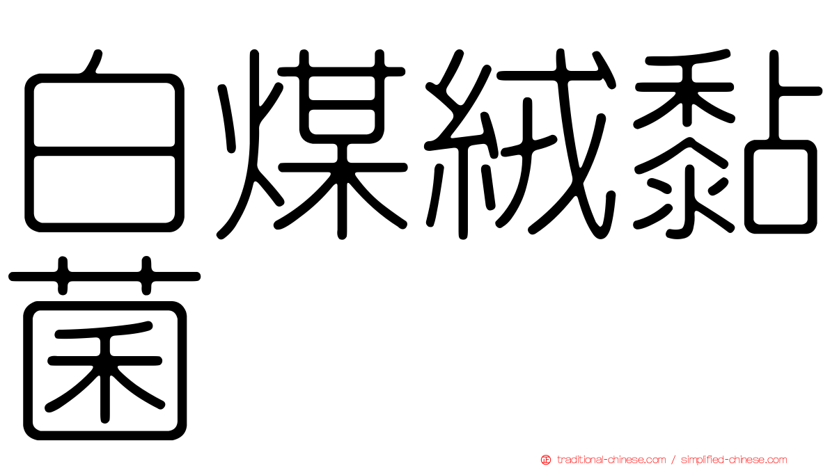 白煤絨黏菌