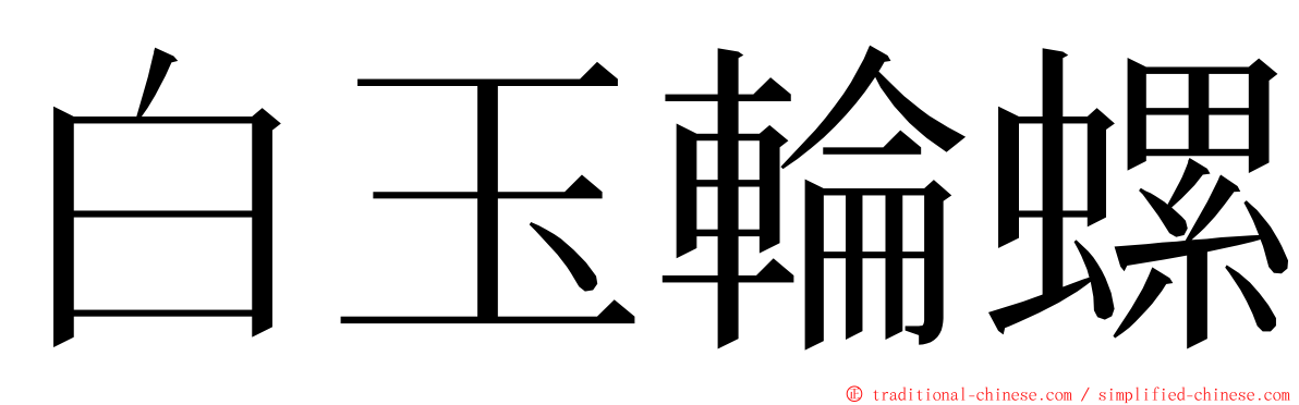 白玉輪螺 ming font