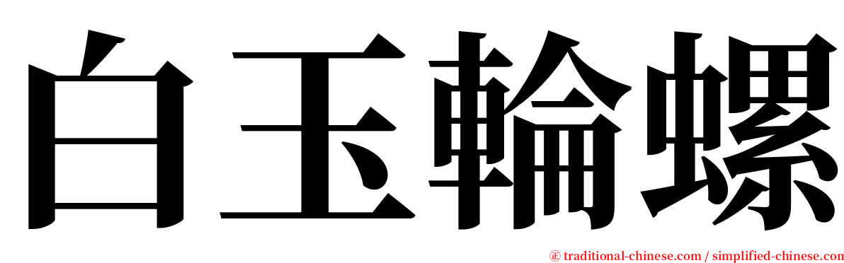 白玉輪螺 serif font