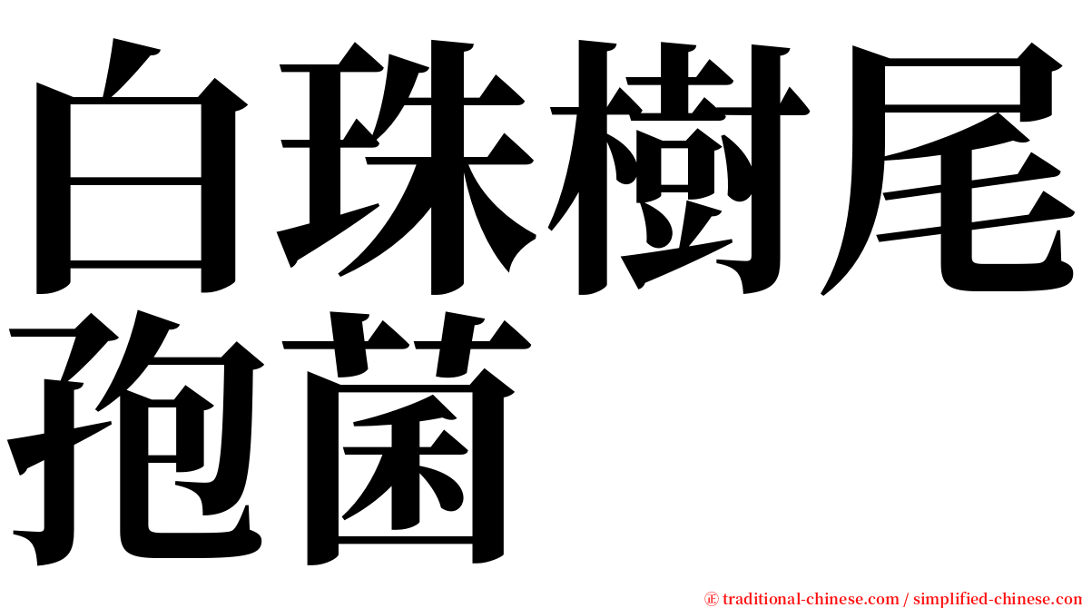 白珠樹尾孢菌 serif font