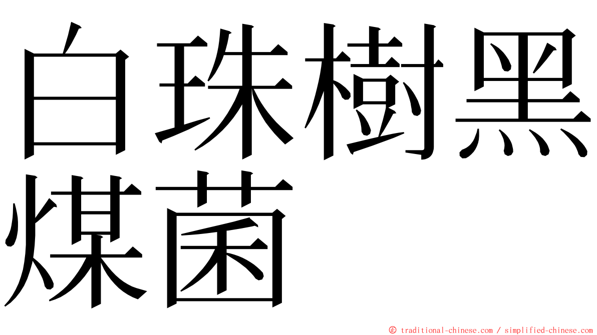 白珠樹黑煤菌 ming font