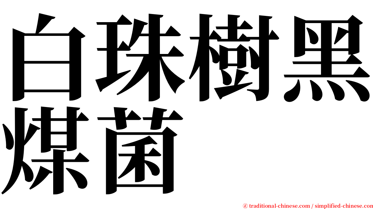 白珠樹黑煤菌 serif font